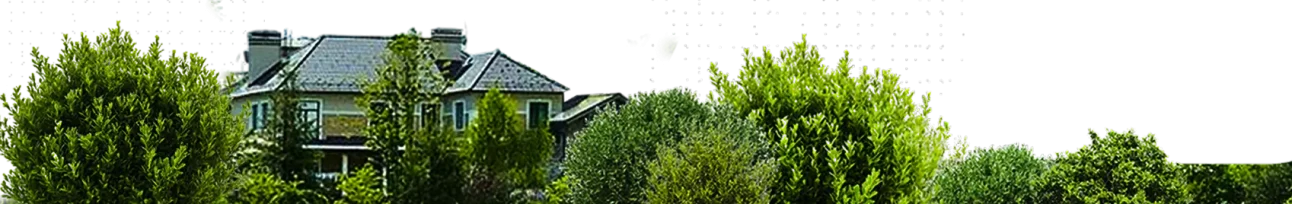 lawns