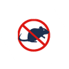 rodent